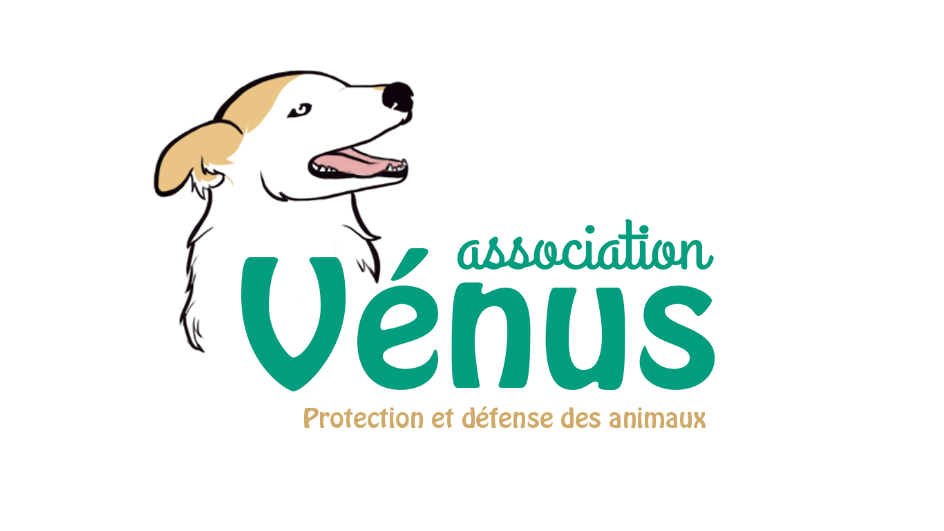 association venus